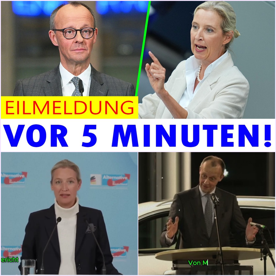 Der historische TV-Eklat: Als Friedrich Merz die Kontrolle verlor und Alice Weidel das Publikum zum Toben brachte