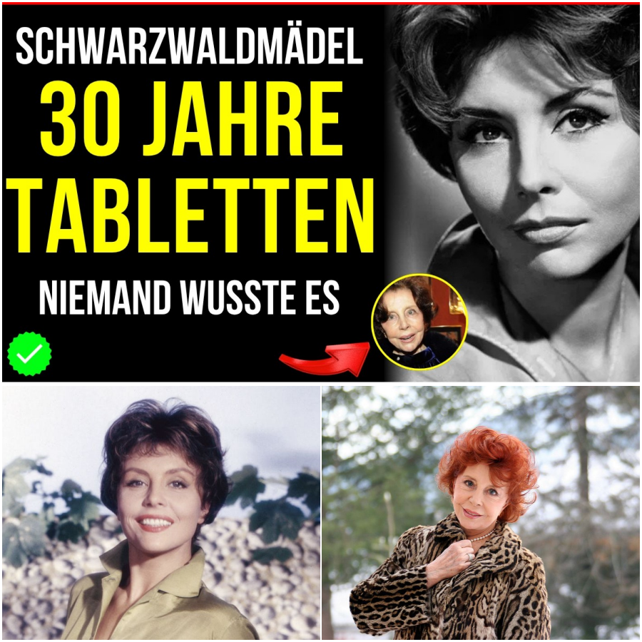 Die zerschmetterte heile Welt: Sonja Ziemanns geheimes Leben zwischen filmischem Ruhm und unvorstellbarem Schmerz