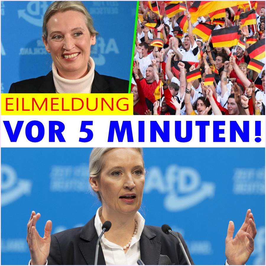 Der Schock von Dresden: Eskalation gegen Alice Weidel und das brüllende Schweigen der etablierten Politik