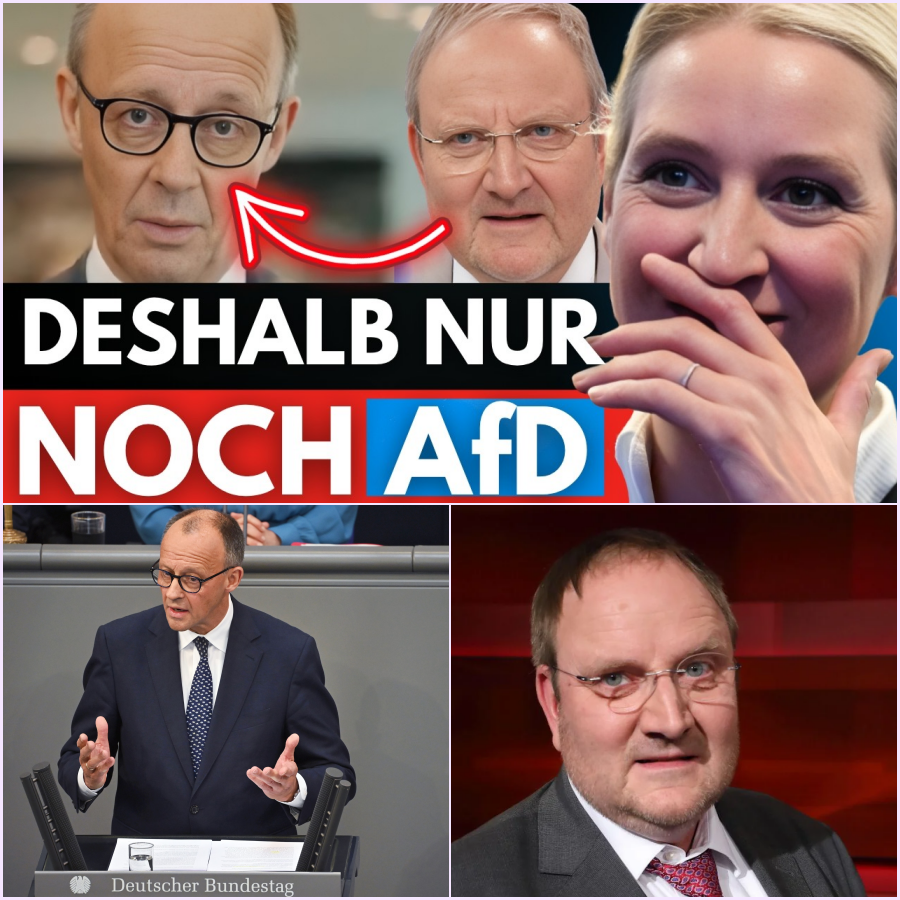 Der Kanzler der leeren Worte: Wie Friedrich Merz mit arroganter Laschheit das Land verhöhnt und die eigene Koalition in den Abgrund stürzt