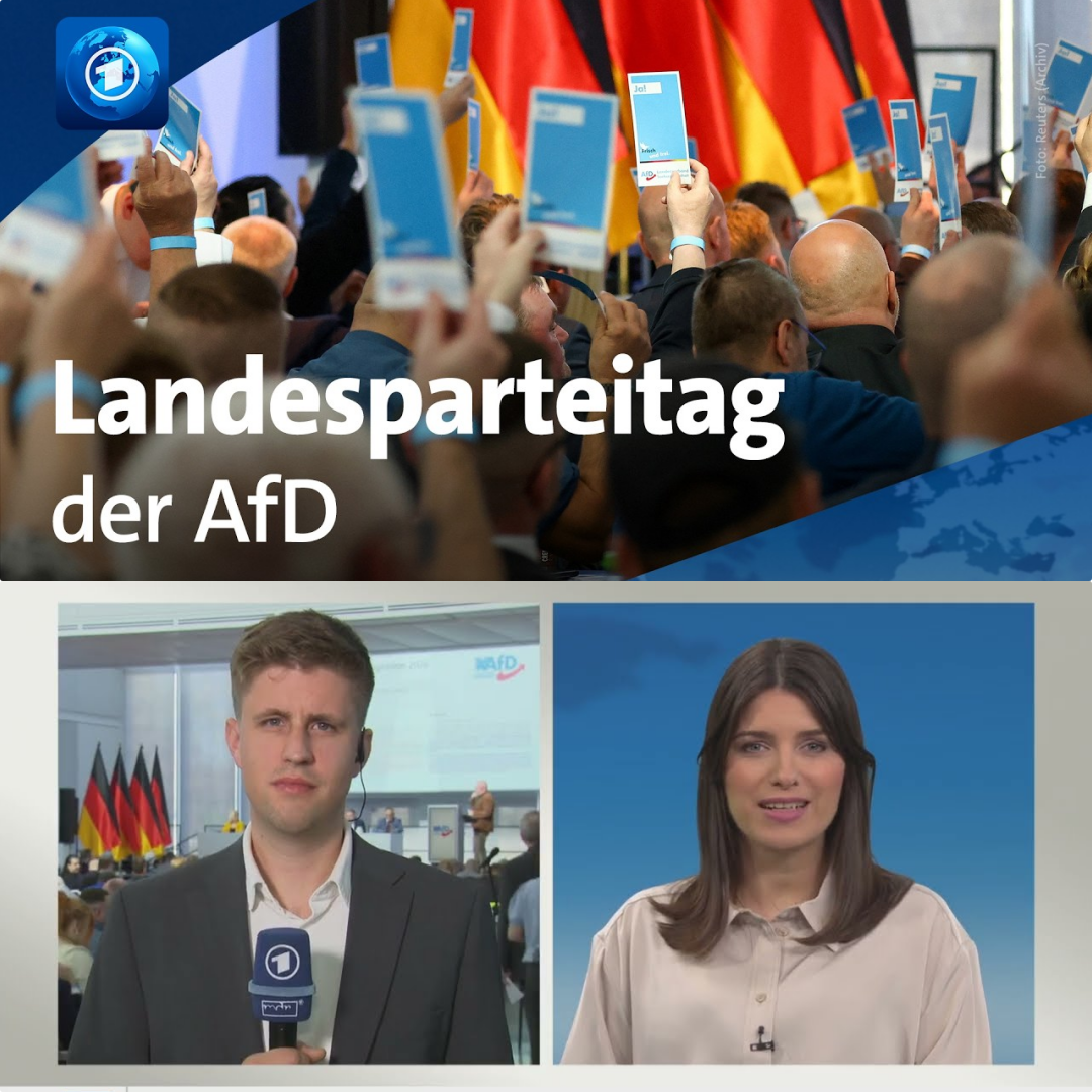 40 Prozent und der Griff nach der absoluten Macht: Der radikale Kurs der AfD Sachsen-Anhalt