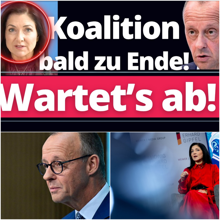 Der Absturz der deutschen Wirtschaft: Warum Brandbriefe nicht helfen und die politische Brandmauer das Land in den Abgrund reißt