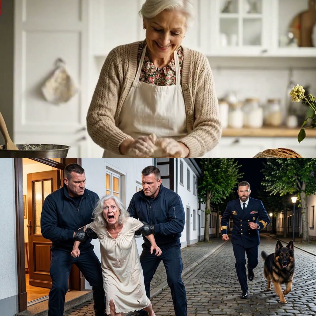 Eine alte Frau wird brutal aus ihremHaus gezerrt dann geht das Licht an ein NavySEAL erscheint mitK9