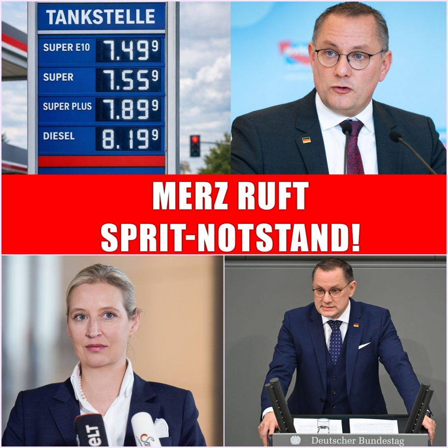 Politisches Erdbeben im Bundestag: Die ungeschminkte Wahrheit รผber eine hausgemachte Energiekrise und den radikalen Wandel in Europa