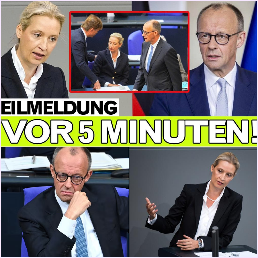 Eklat im Parlament: Der Tag, an dem Friedrich Merz die Kontrolle verlor und Alice Weidel eiskalt triumphierte