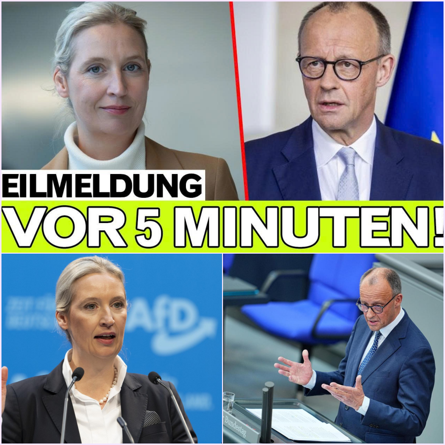 Der Bruch des Tabus: Wie Alice Weidel das Kanzleramt erschütterte und den Bundestag ins Chaos stürzte