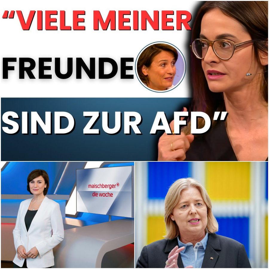 Der Moment der Wahrheit: Wie eine einzige Stimme die Illusionen des deutschen Sozialstaats zerschmetterte