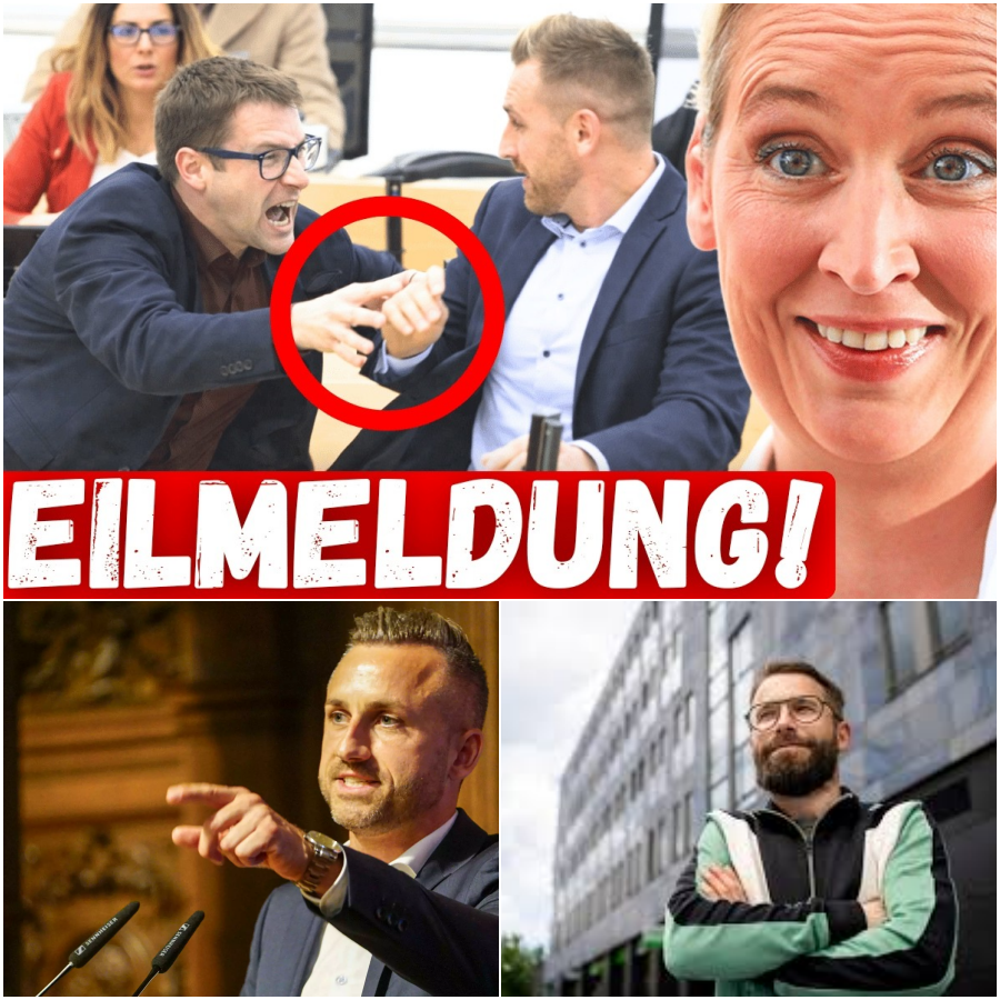 Der wirtschaftliche Kollaps auf Raten: Wie Ideologie den deutschen Mittelstand ins Ausland treibt