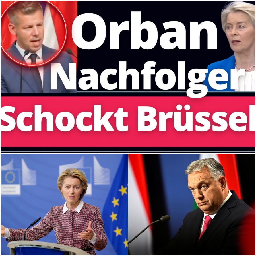 Schock für Brüssel: Warum der naive Jubel über Orbáns Nachfolger ein fataler politischer Irrtum ist