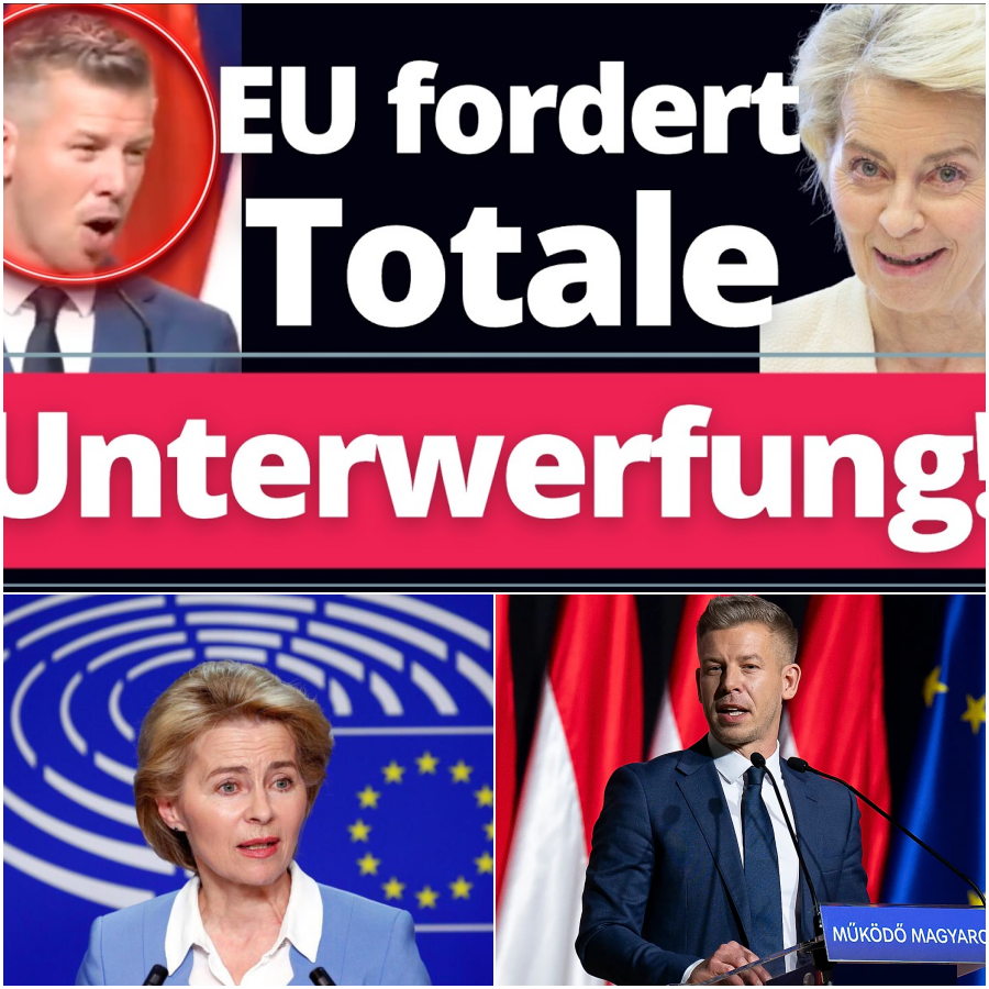 Die große Erpressung: Wie Brüssel sofort nach der Wahl nach der totalen Macht greift und Ungarn in die Knie zwingen will