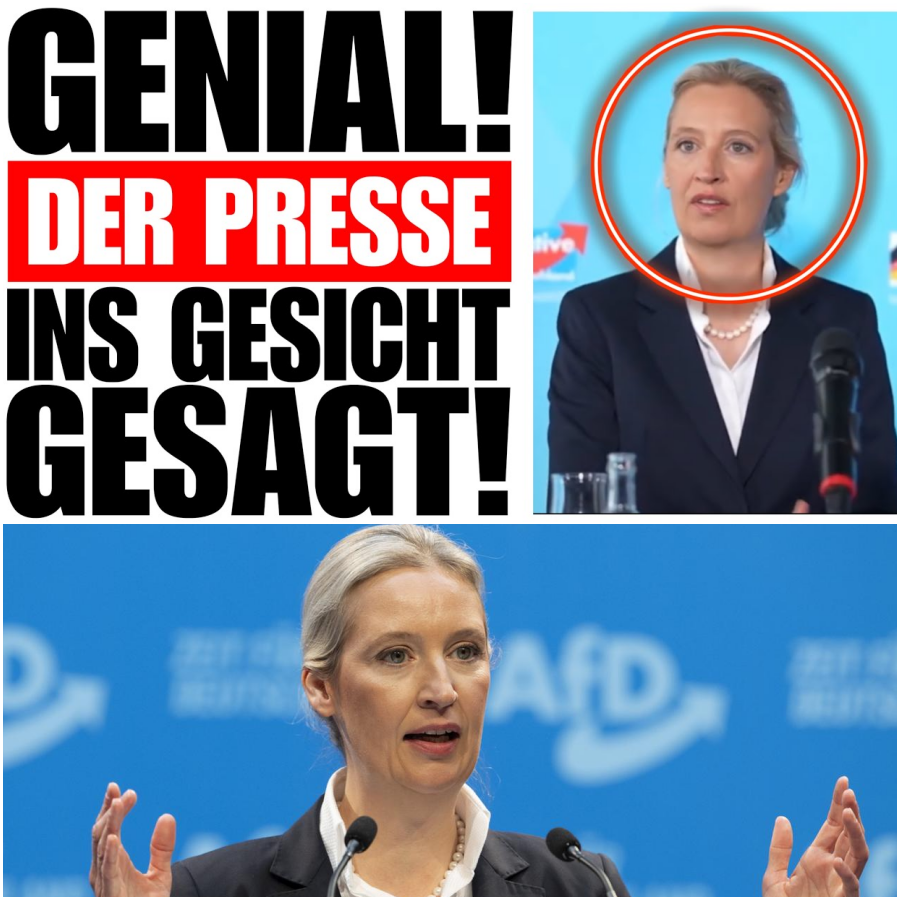 DIE SPRIT-BOMBE PLATZT: Alice Weidel rechnet schonungslos mit staatlicher Abzocke ab und fordert das radikale Ende der Benzin-Steuern