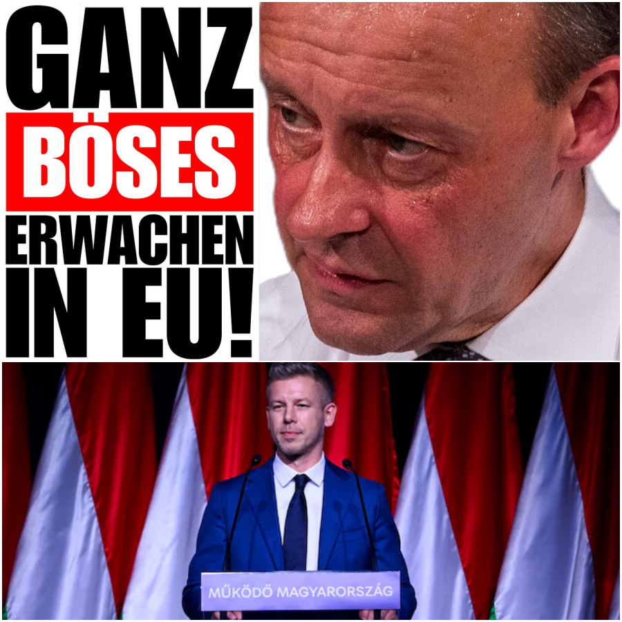 DAS BÖSE ERWACHEN IN BRÜSSEL: Warum Péter Magyar die EU in Schockstarre versetzt und Orbáns Erbe nahtlos fortsetzt