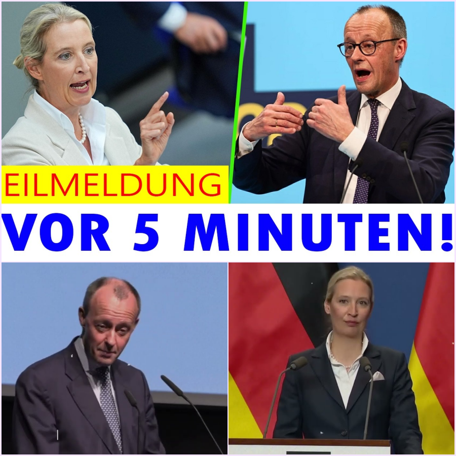 Historischer Eklat im Bundestag: Wie Alice Weidel Friedrich Merz zur völligen Eskalation trieb