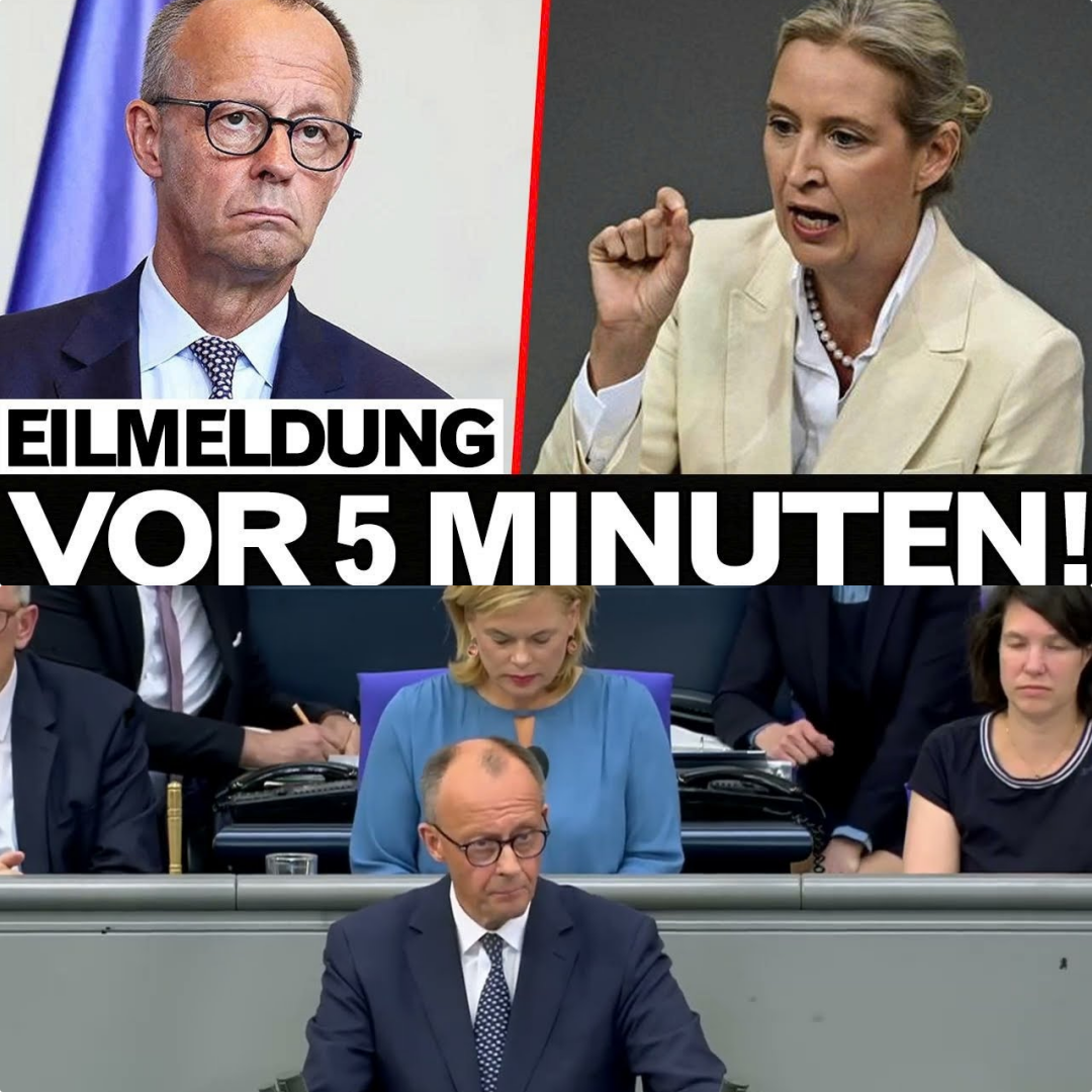 Bundestag-Skandal eskaliert: Die Energie-Lüge bricht zusammen – Steht Deutschland vor dem totalen Blackout?