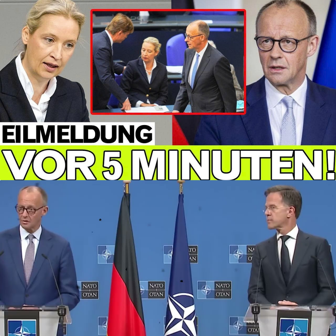 Eskalation im Bundestag: Wenn die Masken fallen – Friedrich Merz verliert die Beherrschung gegen eine eiskalte Alice Weidel