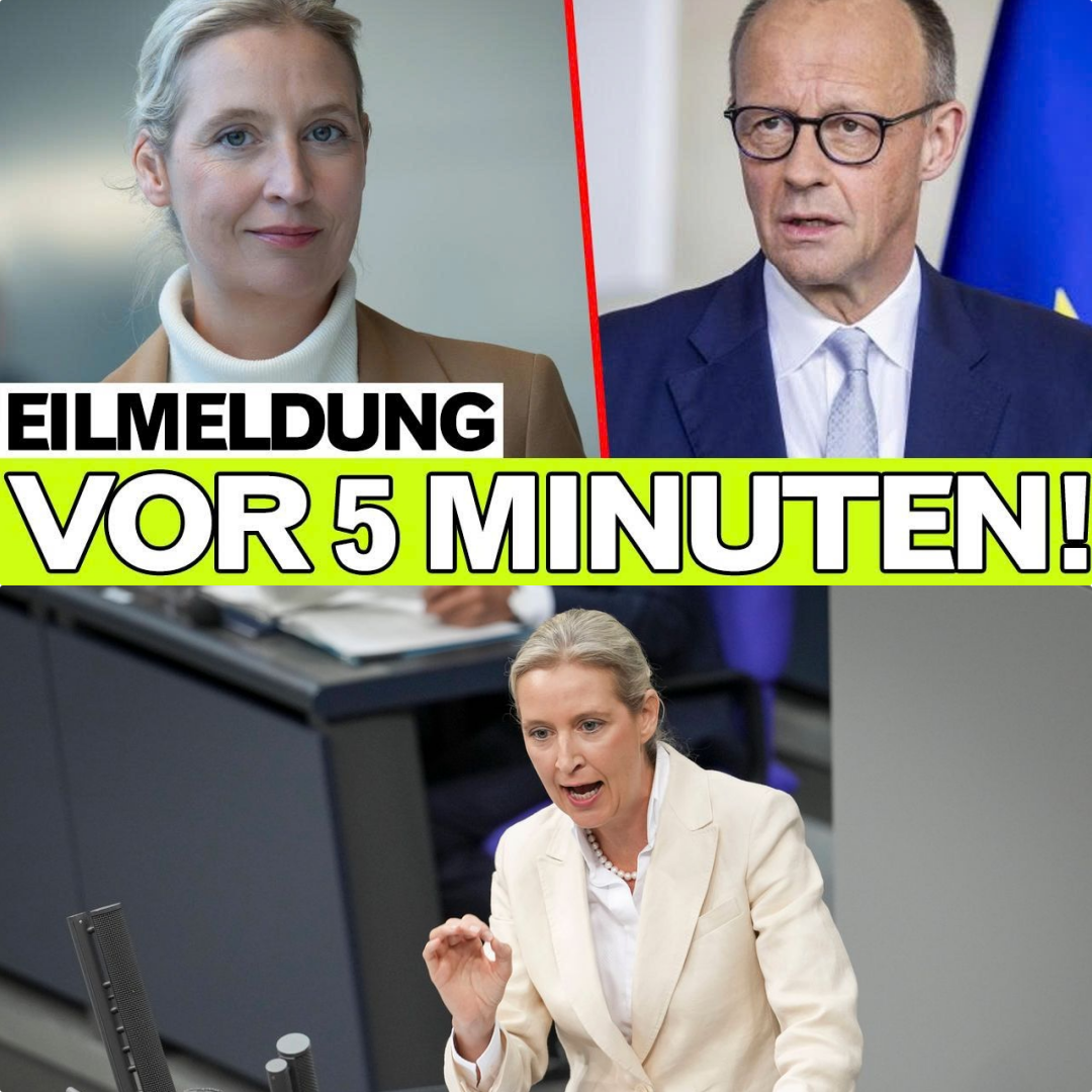 Abgrund im Plenum: Wie Alice Weidels Rücktrittsforderung den Bundestag in ein beispielloses Chaos stürzte