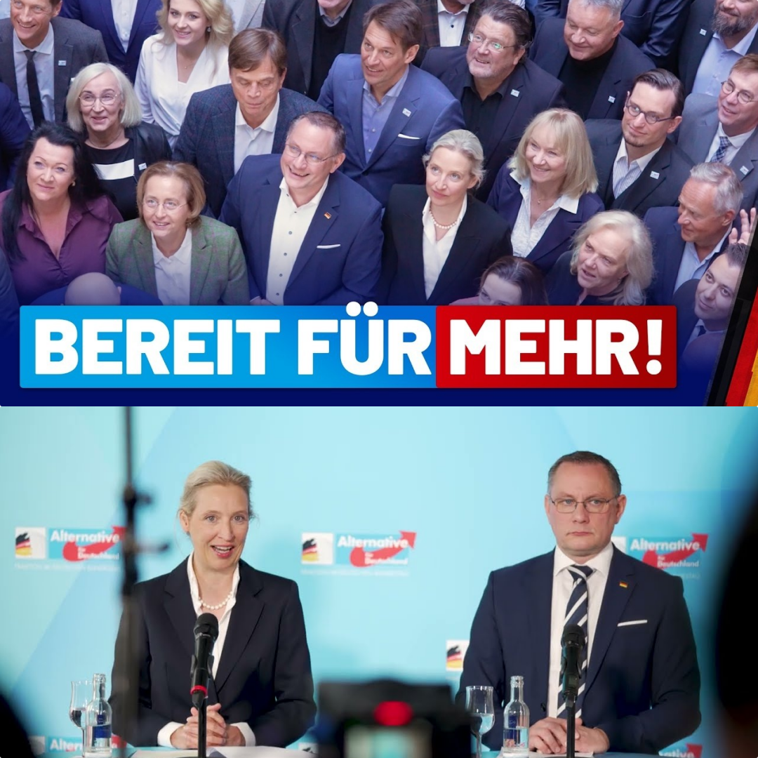 Der Geist von Cottbus: Wie die AfD-Fraktion mit radikalen Reformen und neuer Geschlossenheit die politische Wende erzwingen will