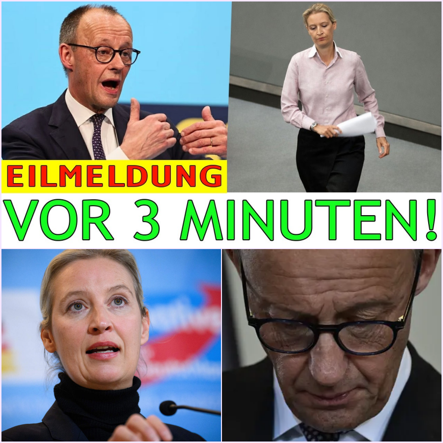 LIVE-DRAMA IM TV: Der Moment, der die deutsche Debattenkultur für immer verändern könnte – Als Weidel ging und das Publikum aufstand