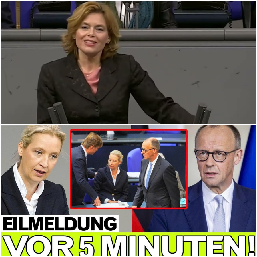 BUNDESTAG-SKANDAL LIVE: Merz verliert die Nerven – Weidel bleibt gnadenlos kalt