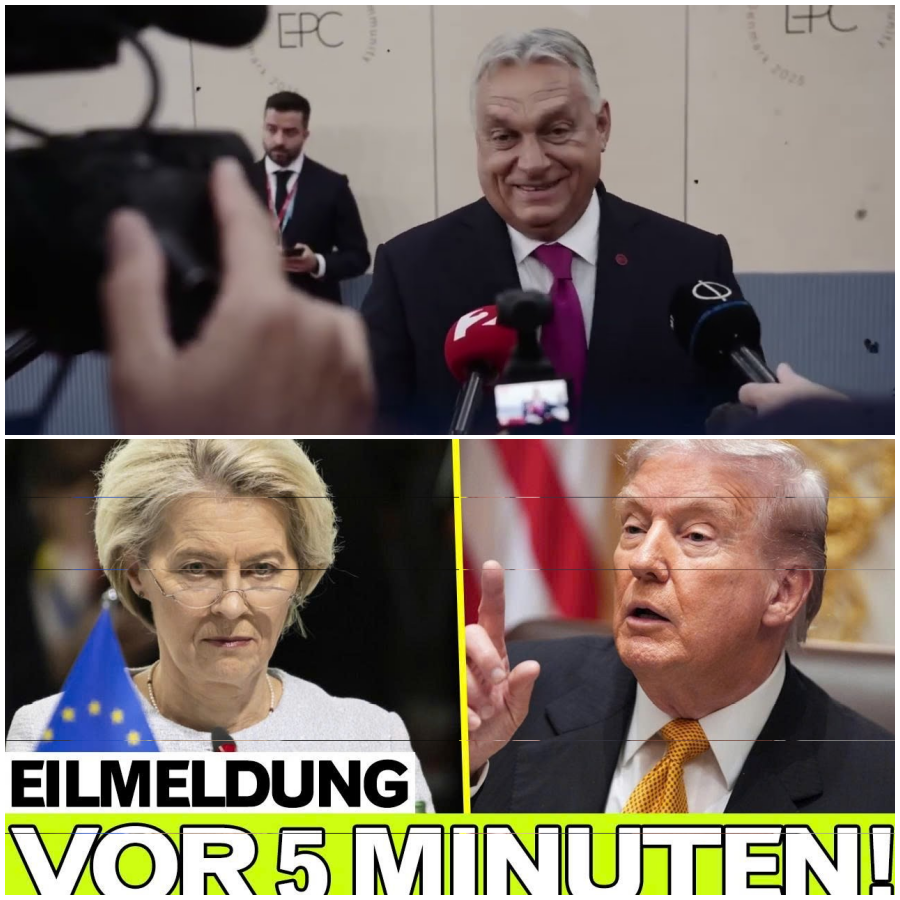 Gold verdrängt den Dollar: Banken setzen auf Sicherheit – 5,1 Billionen Dollar markieren die Wende