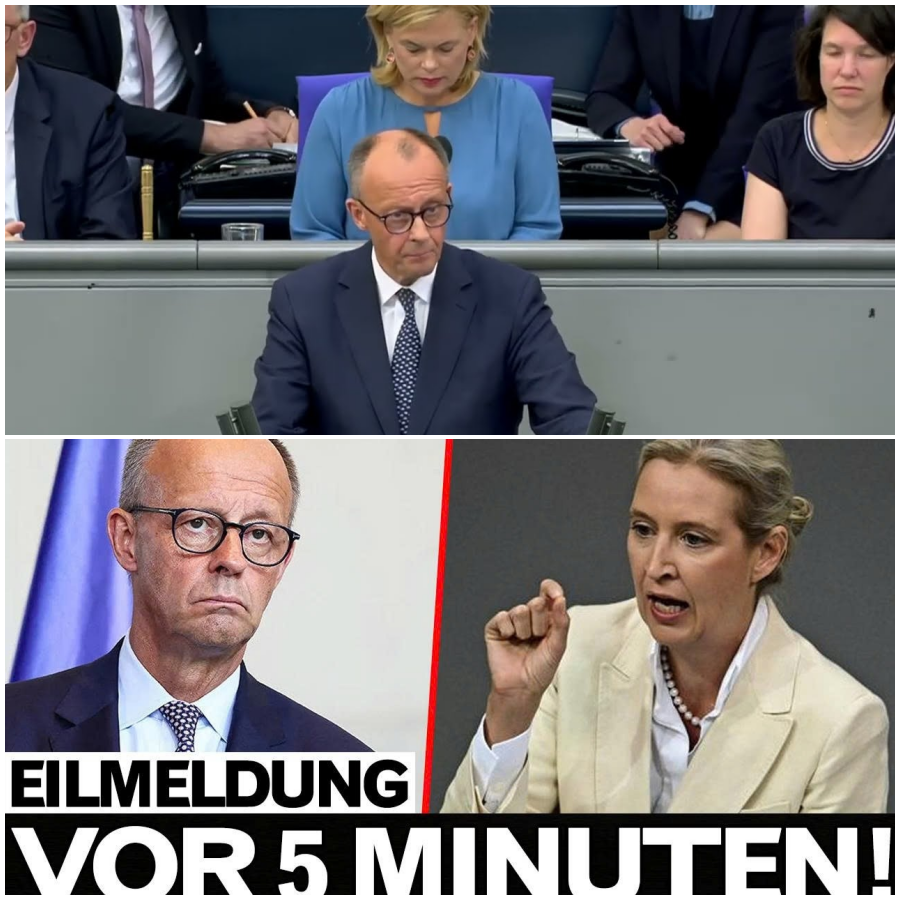 Bundestag-Skandal eskaliert: Weidel legt brisante Beweise vor – verliert Merz jetzt alles?