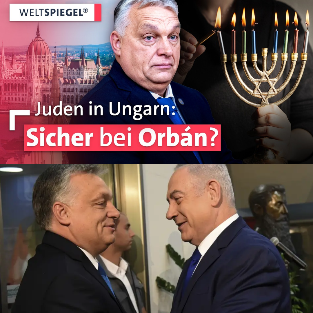 Jüdisches Leben in Budapest: Warum sich Europas Juden ausgerechnet unter Viktor Orbán sicher fühlen
