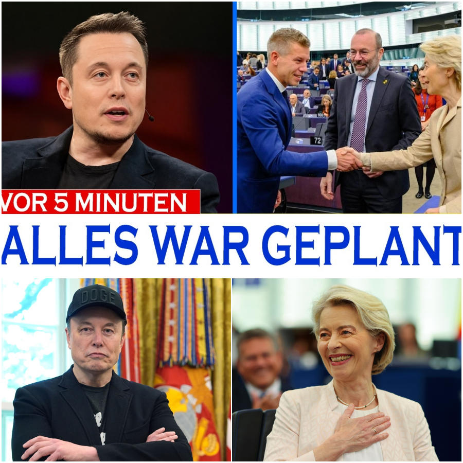 Elon Musks brisante Warnung: Ist Péter Magyar nur eine gesteuerte Marionette im System von der Leyen?