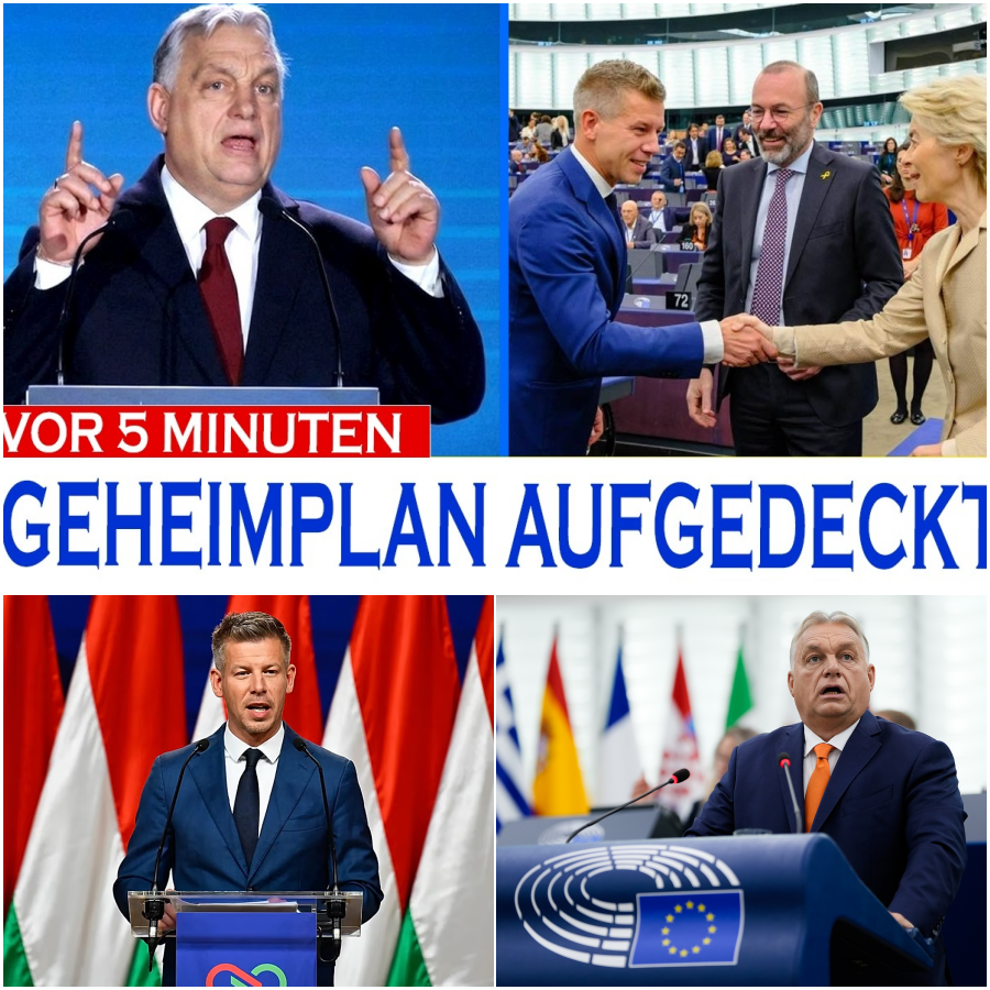 Schock-Wahl in Ungarn: Der leise Fall des Viktor Orbán und das riskante Spiel des neuen Machthabers Péter Magyar