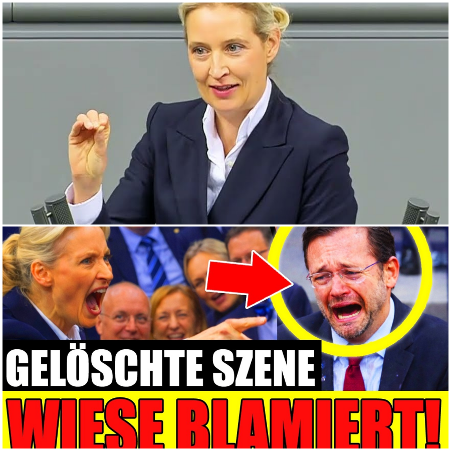 Diese Szene wurde rausgeschnitten Wiese blamiert sich live