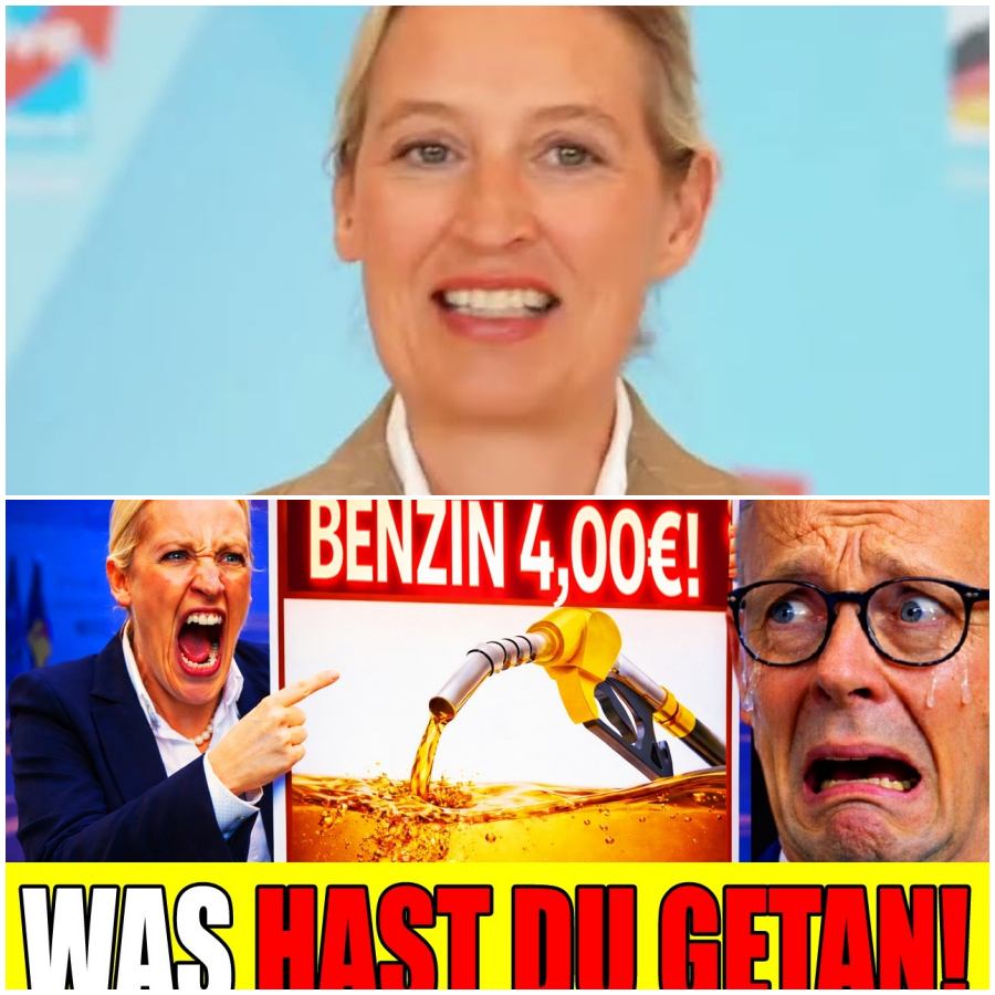 LIVE MERZ bricht SPRITPREUS versprechen! Weidel geht auf Merz los!