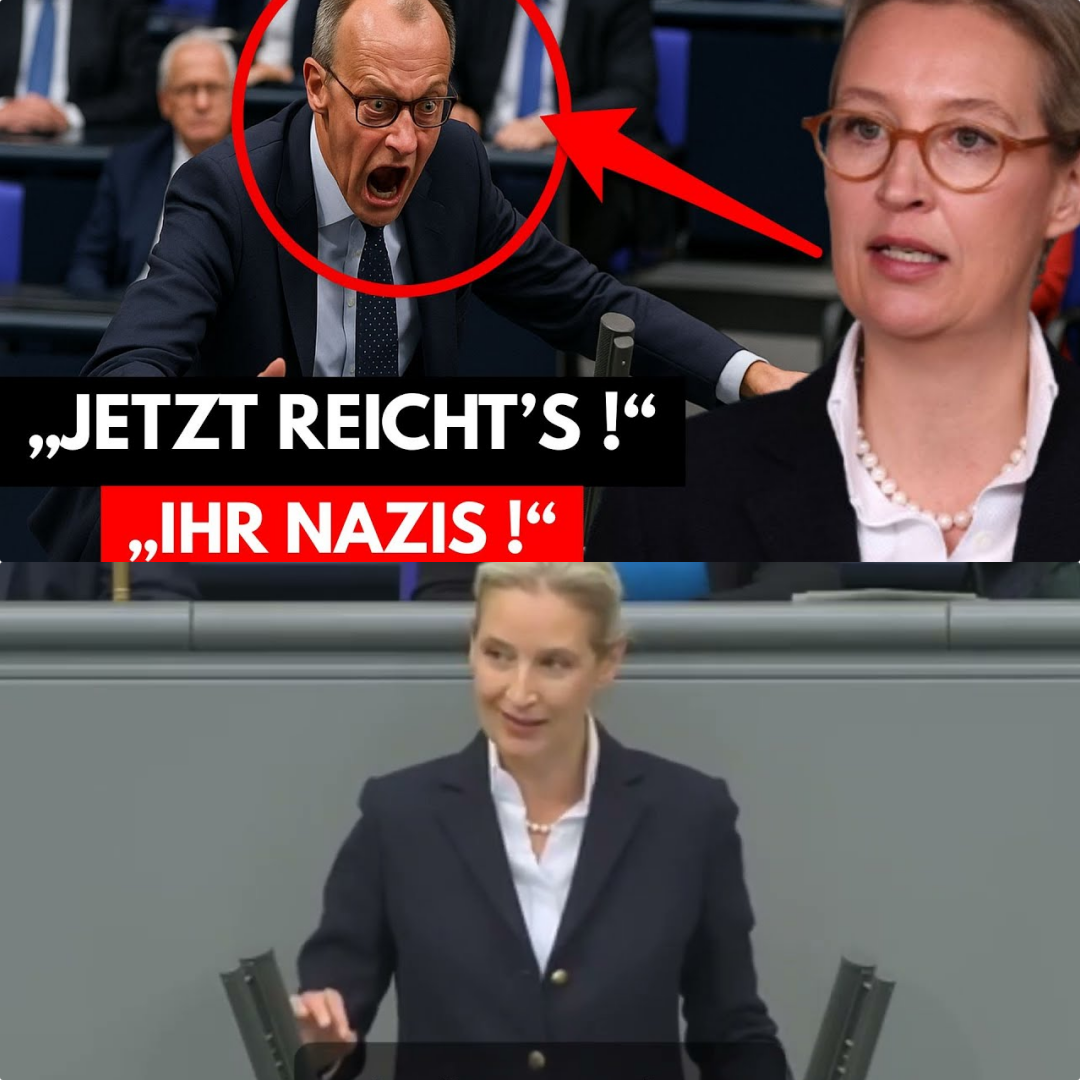 Frontalangriff im Bundestag: Alice Weidel zerlegt Friedrich Merz – Eine Abrechnung mit gebrochenen Versprechen und „Kriegstreiberei“