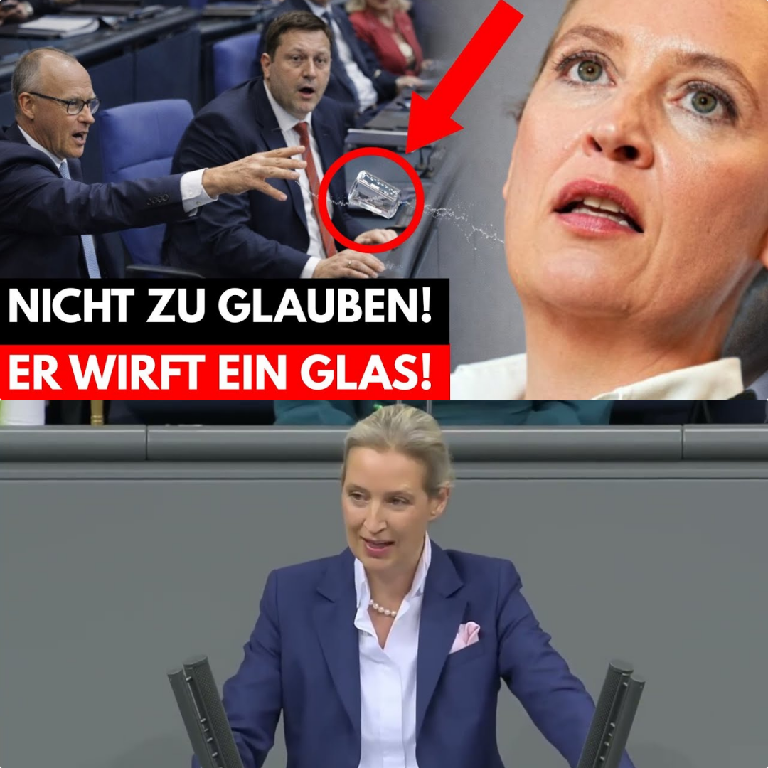 Schlagabtausch der Extraklasse: Alice Weidel blamiert Friedrich Merz und entlarvt das „System des wirtschaftlichen Kollapses“