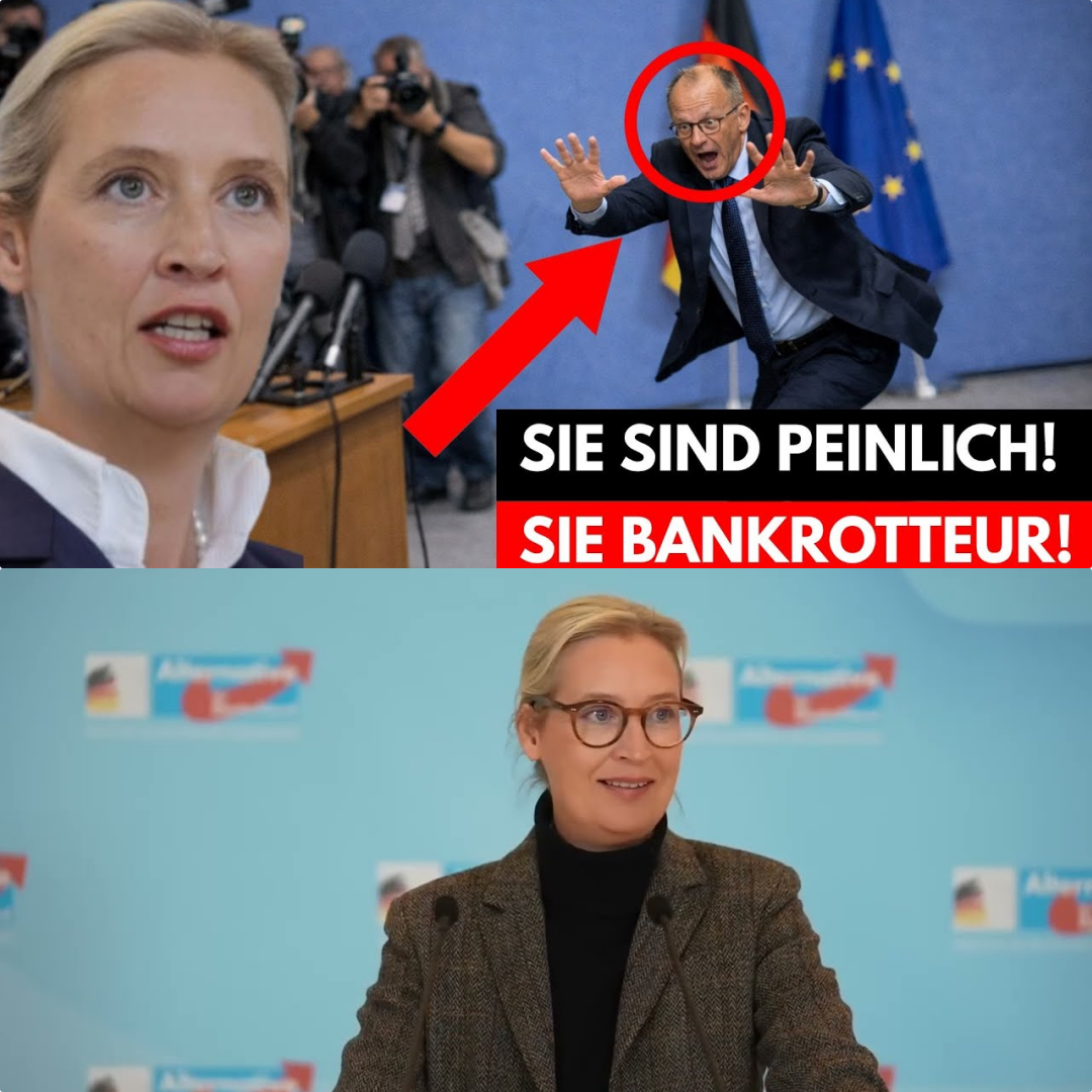 Abrechnung mit der „Selbsthilfegruppe“: Alice Weidel entlarvt das Versagen von Klingbeil und Merz – Wirtschaft am Abgrund