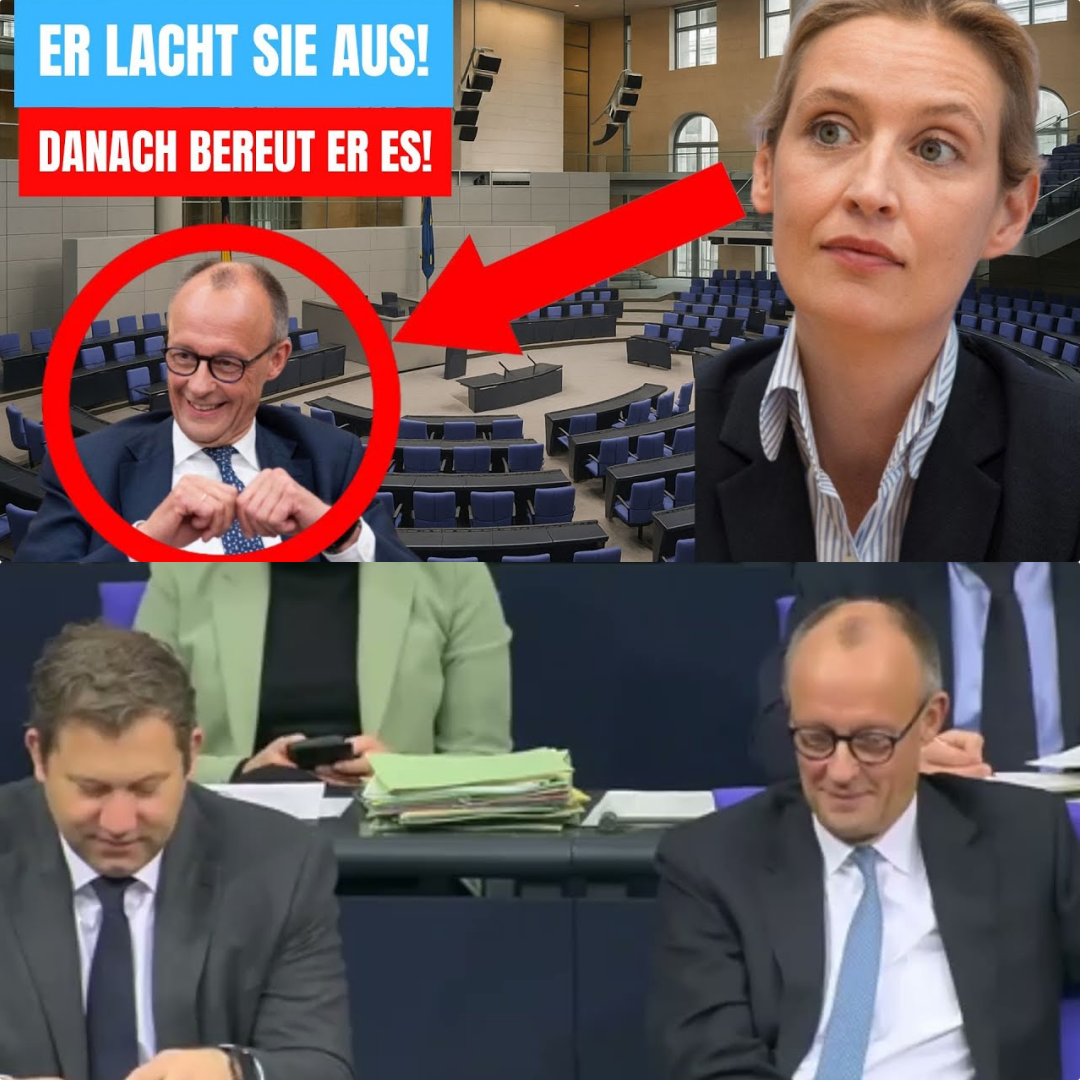 Das Lachen, das im Halse stecken blieb: Alice Weidel kontert Friedrich Merz und präsentiert den „Deutschlandplan“ gegen den Ruin