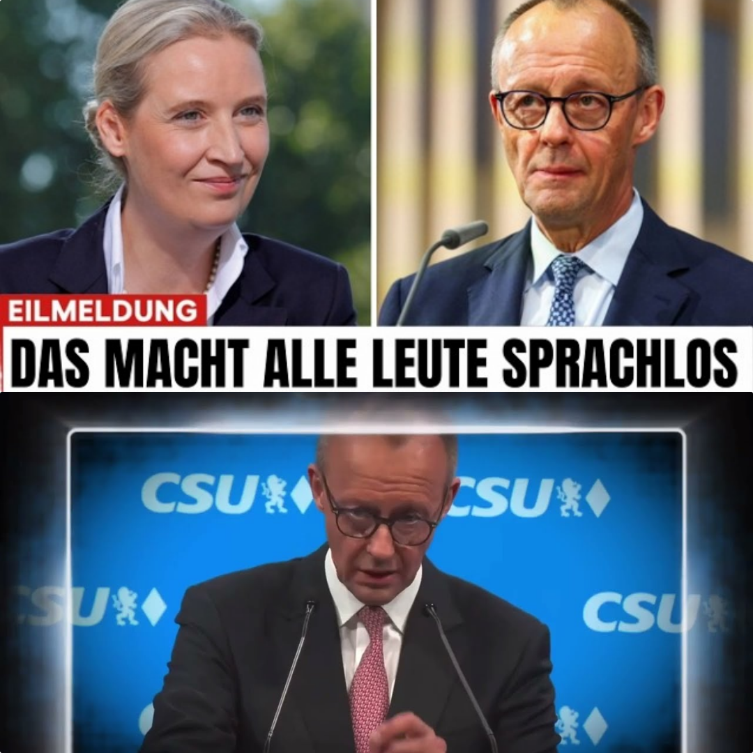 Geheimakte Rente: Friedrich Merz plant radikalen Umbau hinter dem Rücken der Bürger – Interne Papiere enthüllen schockierende Pläne zur Altersvorsorge