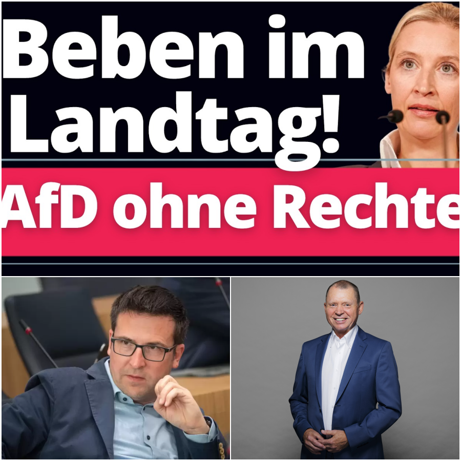 Demokratie nach Gutsherrenart: Wie die Altparteien in Rheinland-Pfalz die Opposition mundtot machen