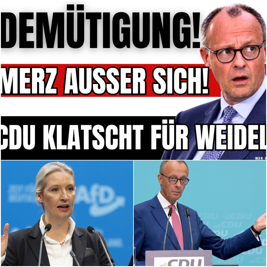 Historischer Eklat im Bundestag: Die Rede, die das Parlament beben ließ und Friedrich Merz demütigte