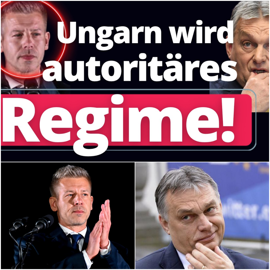 Zwischen Rachefeldzug und Wirtschaftswahn: Péter Magyars gefährlicher Start in Ungarn