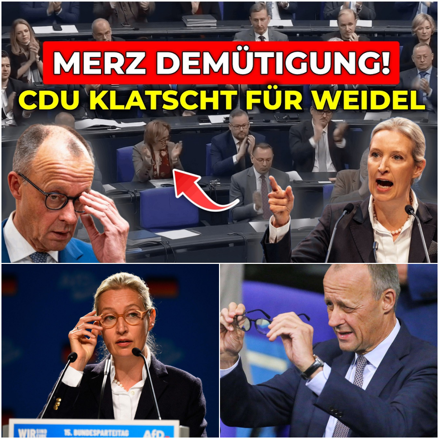 Der Tag, an dem das Parlament bebte: Eine schonungslose Abrechnung mit der deutschen Krisenpolitik