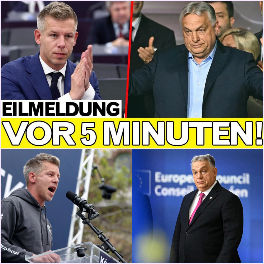 Der leise Rebell: Warum Péter Magyar für Brüssel gefährlicher ist als Viktor Orbán je war