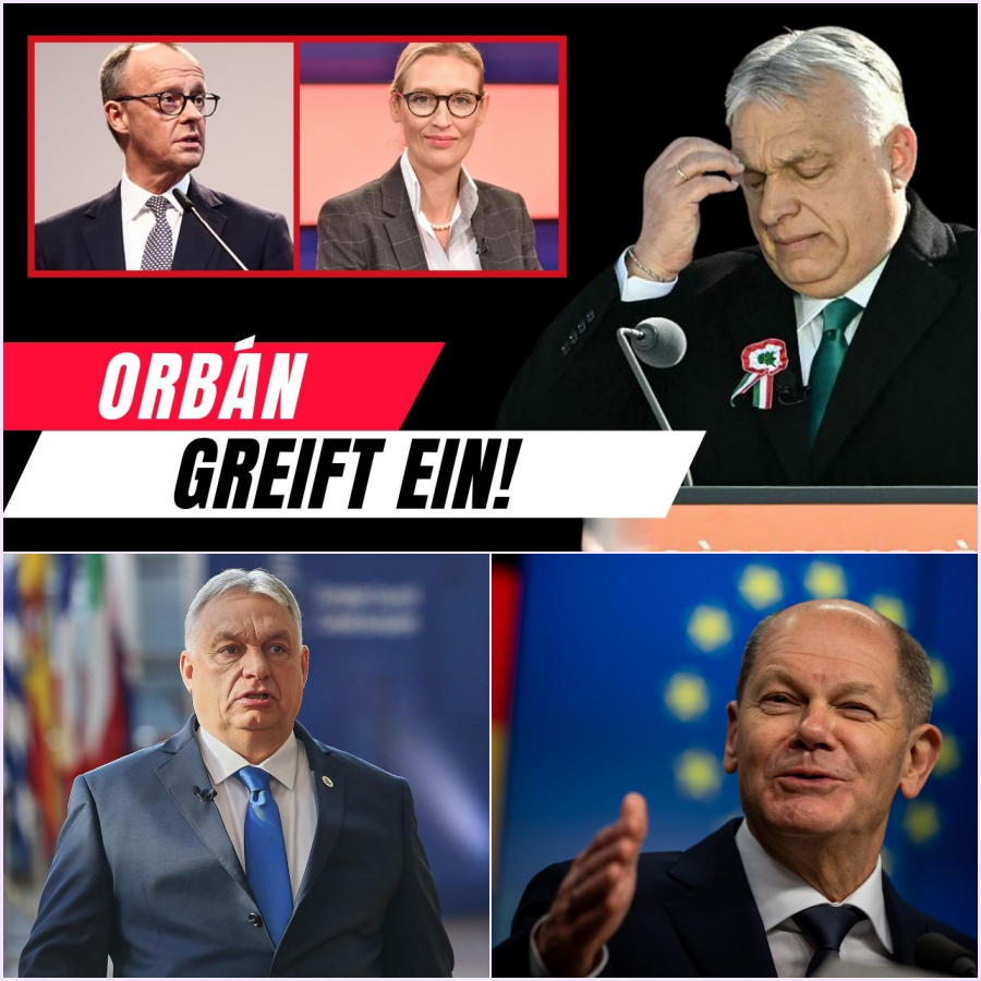 Ein Wort, das Deutschland in den Abgrund reißt: Orbáns gnadenloses Ultimatum in Brüssel