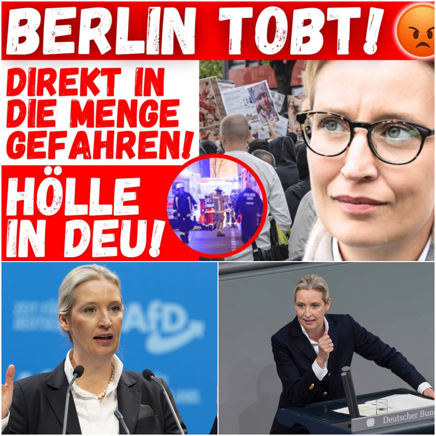 Alarmstufe Rot für den Kontinent: Wie massiver Kontrollverlust, importierte Gewalt und eine entrückte Elite Europas Identität unwiderruflich zerstören