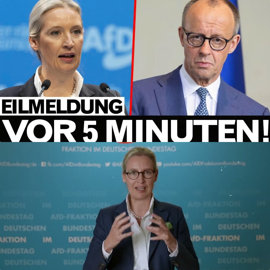 Machtkampf hinter verschlossenen Türen: Merz verliert die Kontrolle – Platzt jetzt die geheime Agenda der CDU?