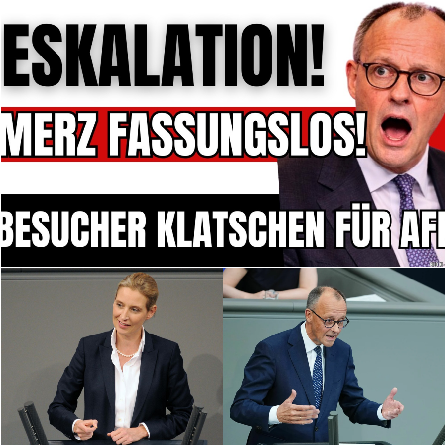 HISTORISCHER EKLAT IM BUNDESTAG: Weidels Frontalangriff auf Merz – Wenn die bittere Wahrheit über Deutschlands Niedergang zu Applaus führt