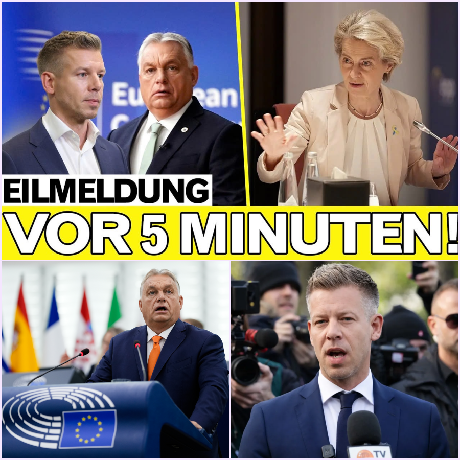 Brüssel unter Schock: Der wachsende Widerstand in Osteuropa und das Beben der Souveränität