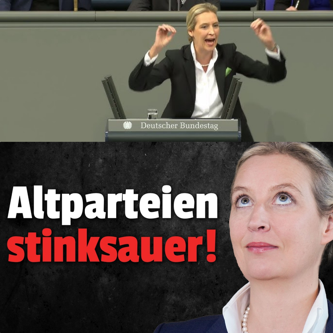 Machtwechsel mit Ansage? Der „Geheimplan“ der AfD und die nackte Angst der Altparteien vor der Realität