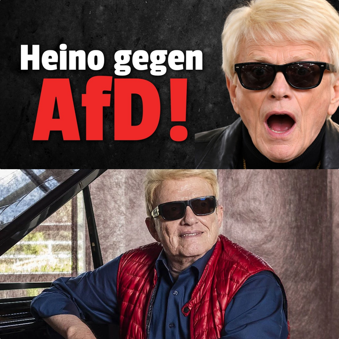 Blau blüht der Enzian – doch vor Gericht sieht Heino rot: Der 250.000-Euro-Eklat um die AfD in der Uckermark