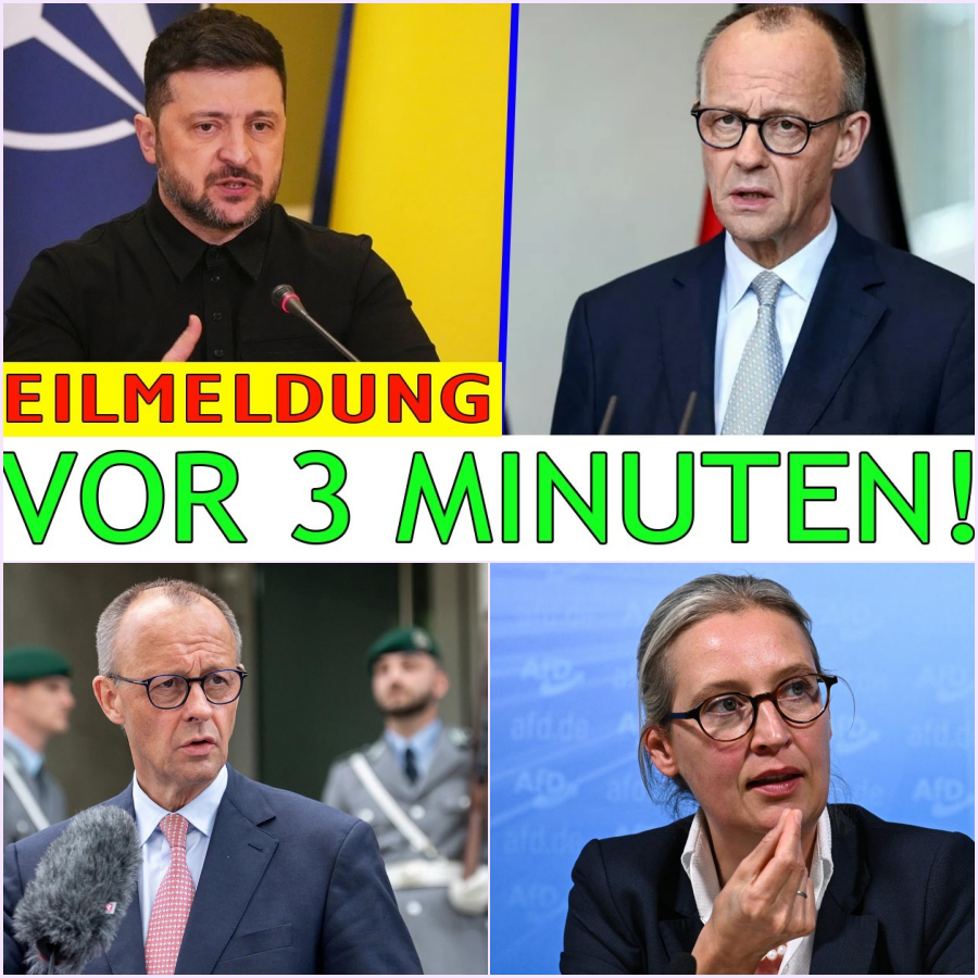 Politisches Erdbeben in Berlin: Historisches Urteil überführt Friedrich Merz des Verfassungsbruchs und stürzt die Regierung in eine beispiellose Krise