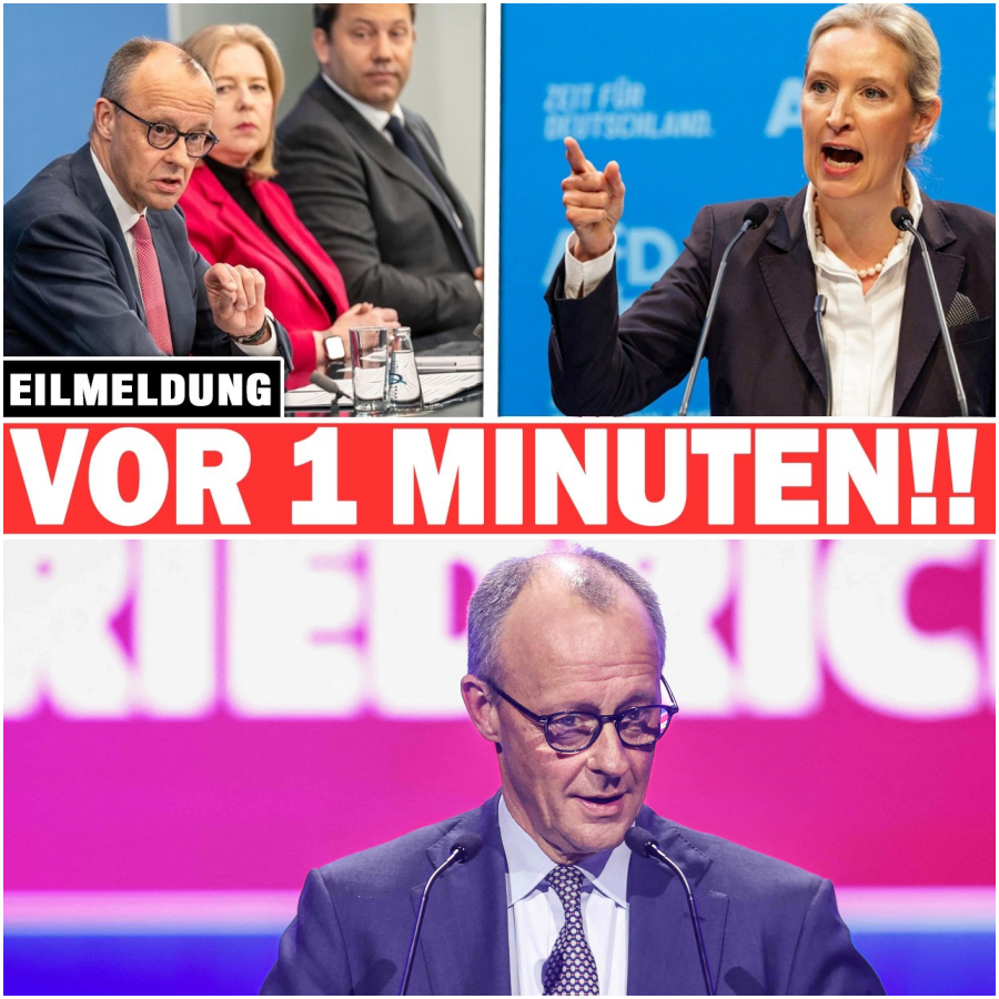 Steuer-Schock und Vertrauensbruch: Warum die deutsche Politik an der Realität der Bürger zerschellt