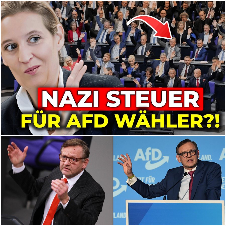 Politisches Beben im Parlament: Die gnadenlose Abrechnung mit der deutschen Wirtschaftspolitik und der Eklat um die “Steuermauer”